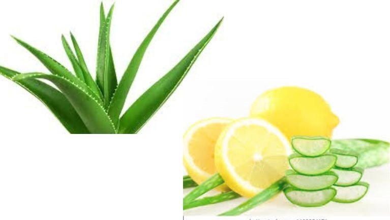 ayurvedic-remedies-for-hyperpigmentation-in-kannada