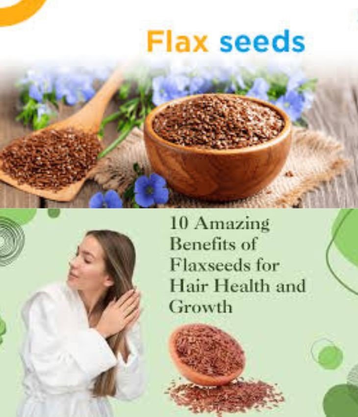 ಅಗಸೆ ಬೀಜ ತಿನ್ನೋದ್ರಿಂದ ಯಾವೆಲ್ಲಾ ಆರೋಗ್ಯ ಸಮಸ್ಯೆಗಳಿಗೆ ಪರಿಹಾರ ಸಿಗುತ್ತೆ ಗೊತ್ತಾ?