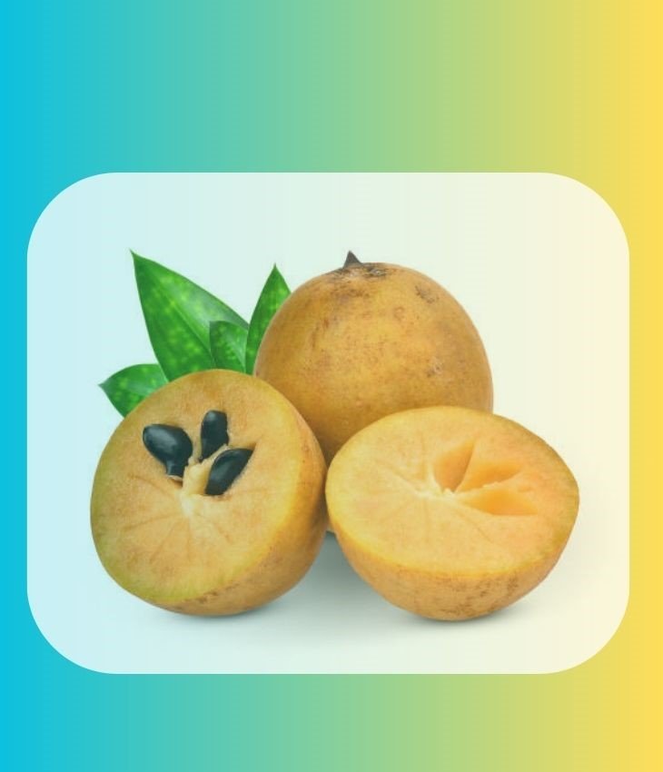 Health Care: ಶುಗರ್ ಇದ್ದರೂ ಸಪೋಟ ತಿನ್ನಬಹುದಾ? ಮಧುಮೇಹಿಗಳು ತಪ್ಪದೇ ತಿಳಿಯಬೇಕಾದ ಸತ್ಯ